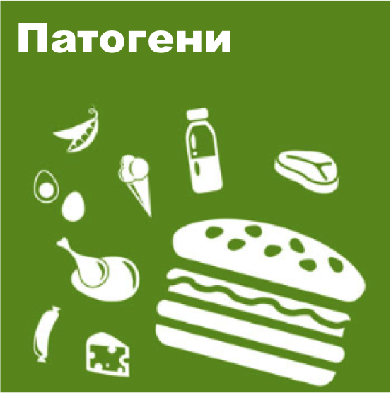 Микробиология