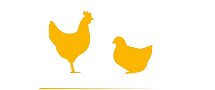 Птици